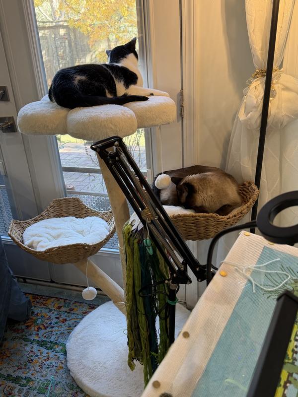 An hour after assembly