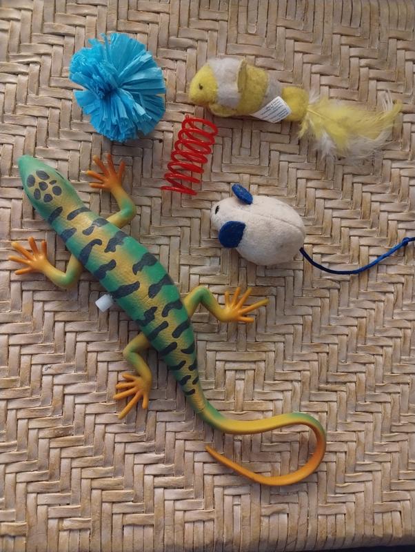 The lizard was bigger than I expected it to be.