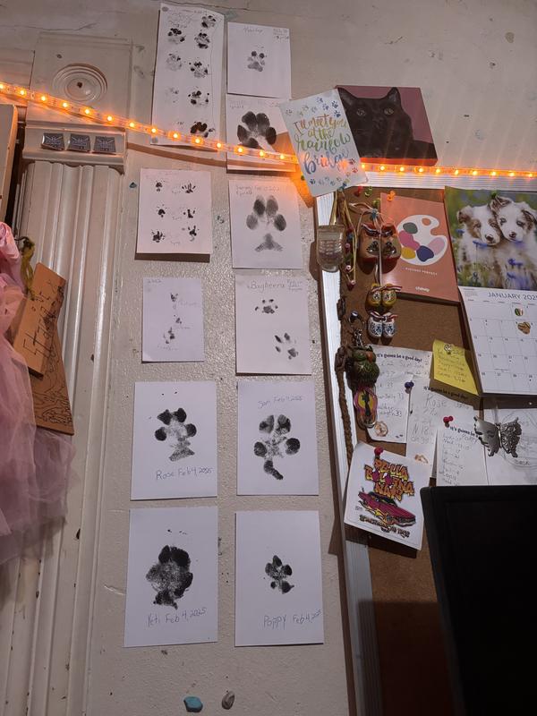 This is the collection of paw prints that I've done with your product dogs, cats, and guinea pigs. they are all of your product except the one with multiple(more than two) paw prints on it at the top that is not with the ink pad.