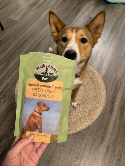 Freeze dried hotsell kangaroo dog food