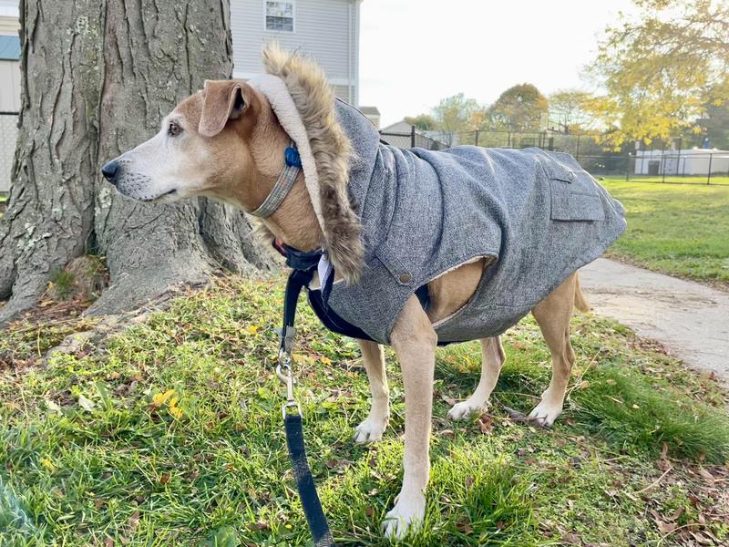 A perfect fit with the best quality