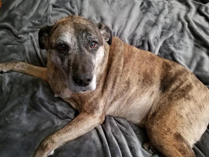 this was samantha when we gave her the toy.