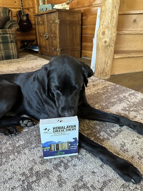 Opie checking out his goodies