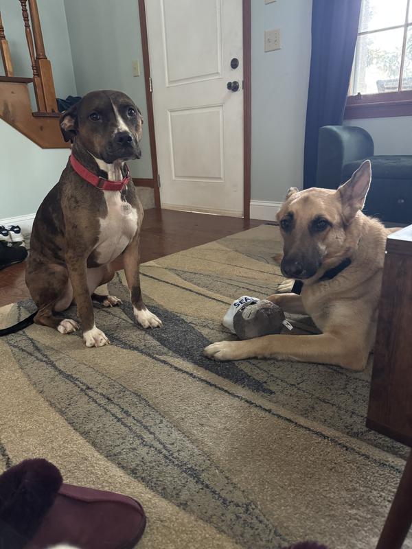 Everybody wants a turn