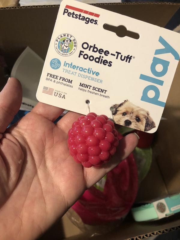 Can Dogs Choke On Ping Pong Balls