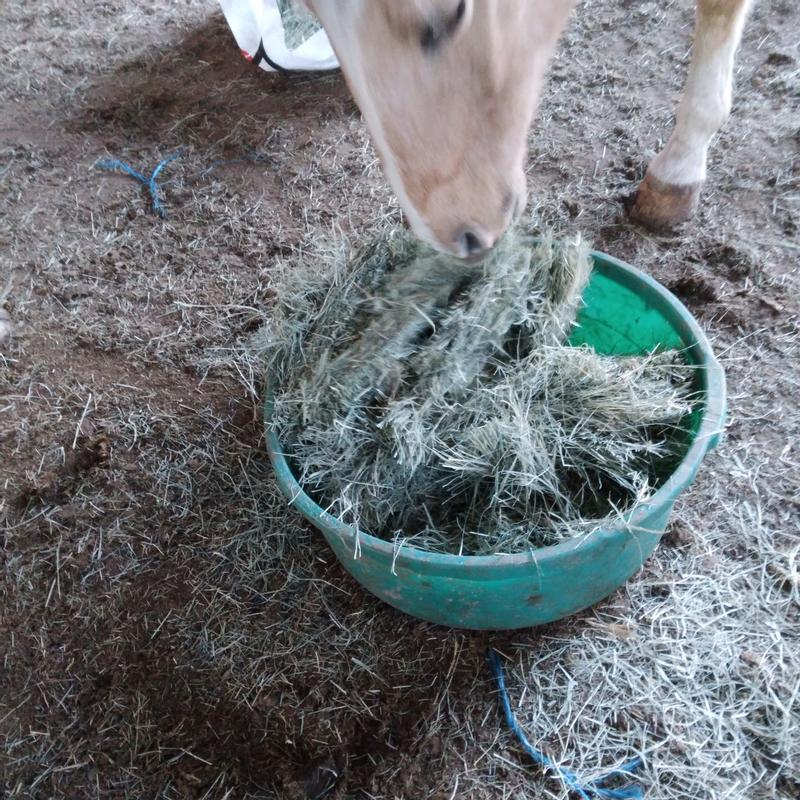 My horses love Ametza Bermuda Hay Bale