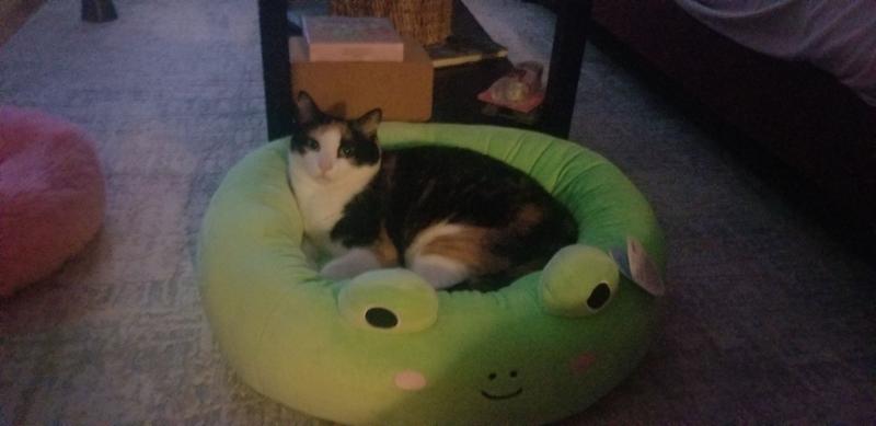 SQUISHMALLOWS JPT Wendy The Frog Cat & Dog Bed, Green, Large
