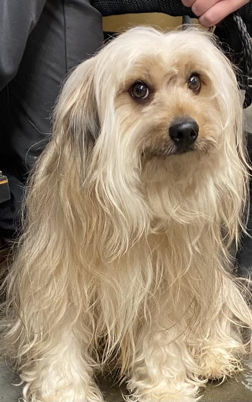 Is my Emerald pumpkin apple treat in my little dish?