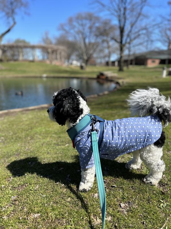 Frisco Polka Dot UPF35 Dog Sundress, Yellow