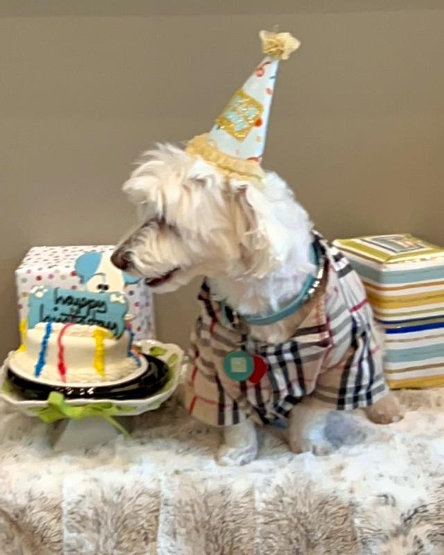 Riley’s 9th Birthday party