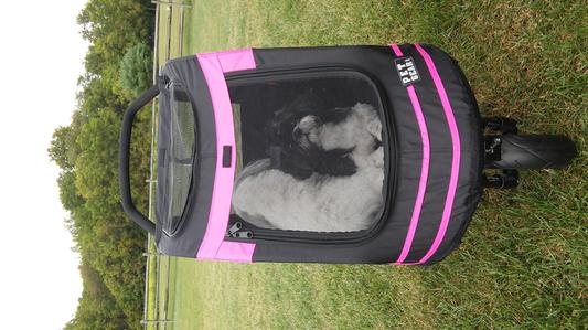 PET GEAR Roadster Pet Stroller Black Pink Chewy