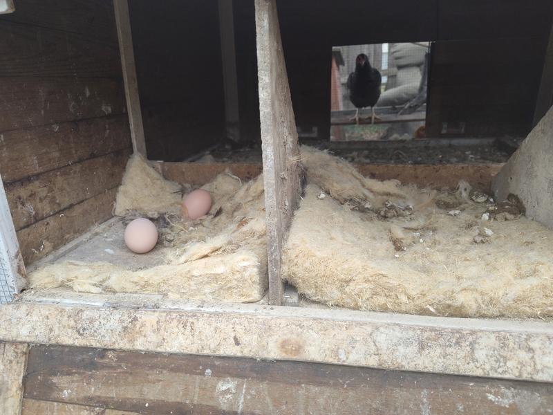 Well-loved by everyone!