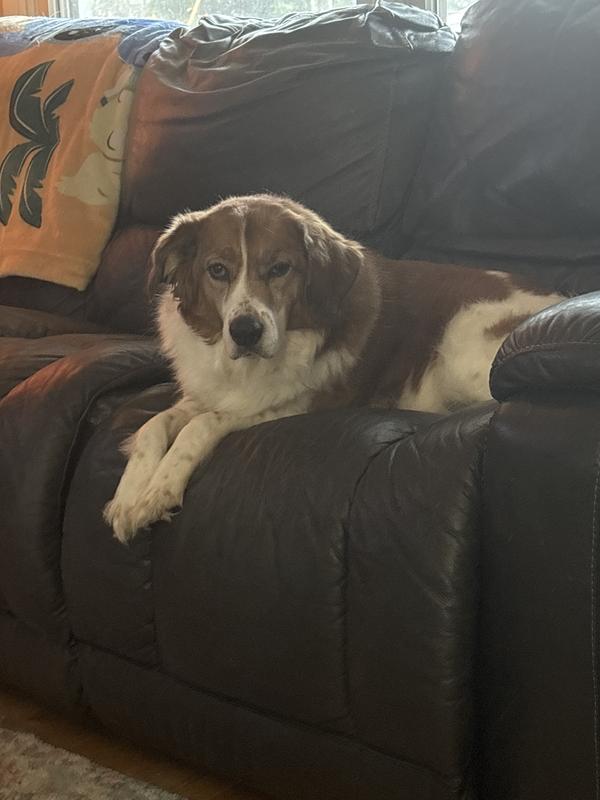 Calm and comfortable