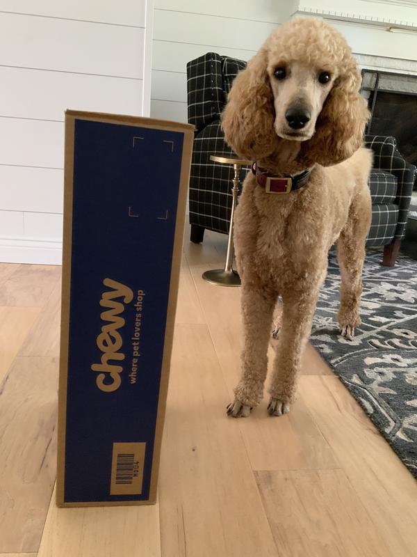 This box belongs to me!