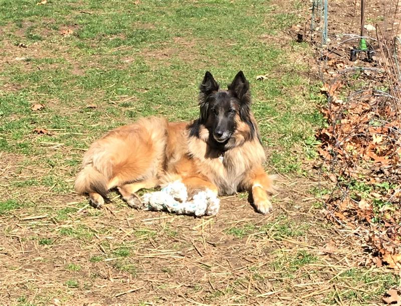 Doing great at almost 12.