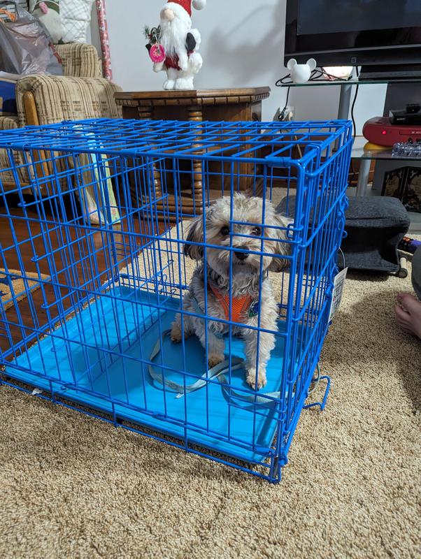 First day exploring.