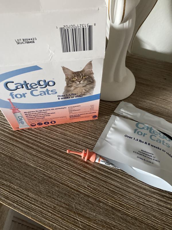 CATEGO Flea Tick Spot Treatment for Cats over 1.5 lbs reviews Chewy