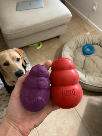 Uncle Bill's Pet Centers. Petsafe Busy Buddy Chuckle Dog Toy