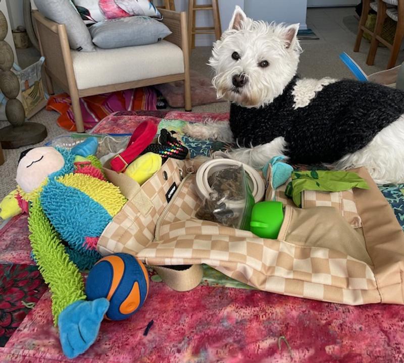 Did I forget anything? I still have more room in my CleverPup Park Pack!