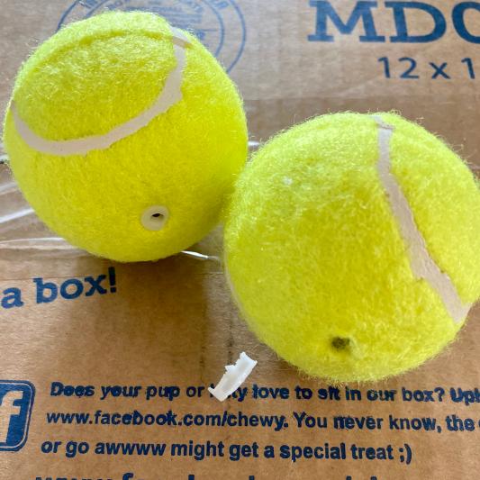 Chewy 2024 tennis balls