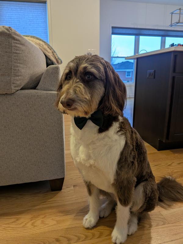 Pure fun getting clean!!