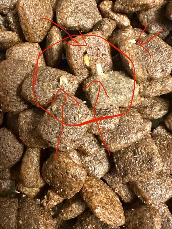 KILLER BONE IN KILLER KIBBLE