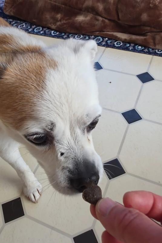 Tilly checked it out and not interested