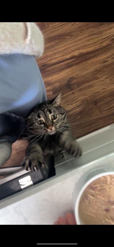 if only she was an inch taller!