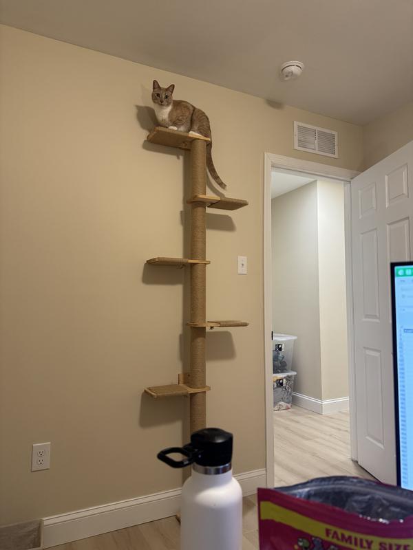 FUKUMARU 81-in Jute Rope 5-Tier Cat Tree with Scratching Posts, Brown ...