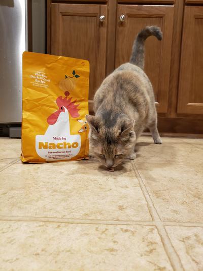Charm eating a piece of the food