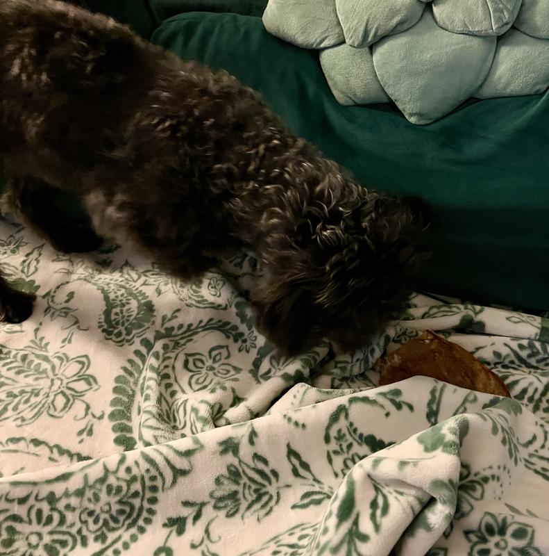 Gotta hide my yummy treat to save it for later!