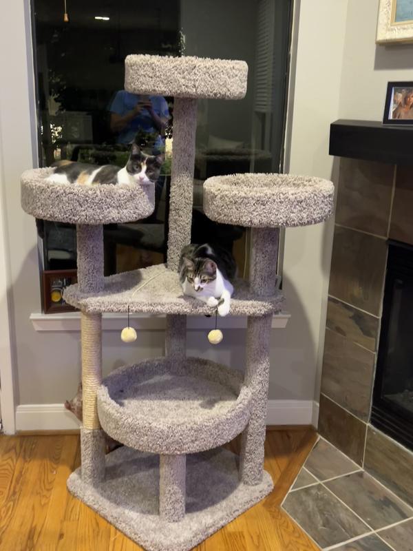 Frisco 65-in Real Carpet Scratch & Lounge Cat Tree