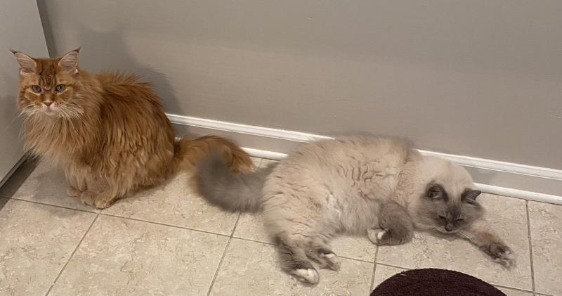 Hangin out!  Phoeba & Nigel