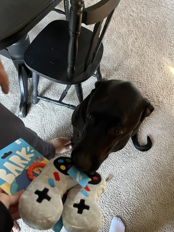 BARK Ate Bit Controllers Squeaky Plush Dog Rope Toy - Chewy.com