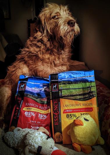 Perry loves his Essence LIR Ranch & Landfowl!