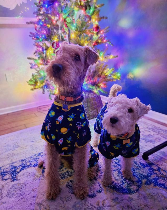 Dogs in XXL and XL, size up from chart