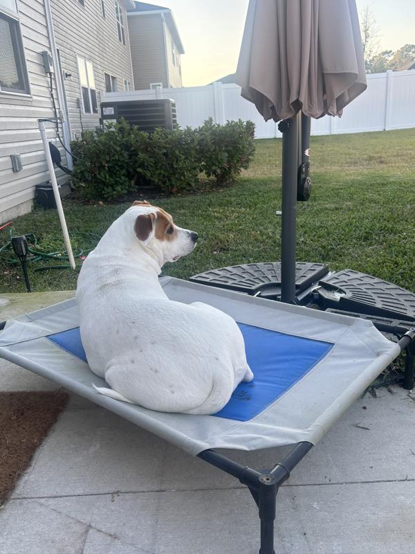 Drying in the sun after her spa bath time