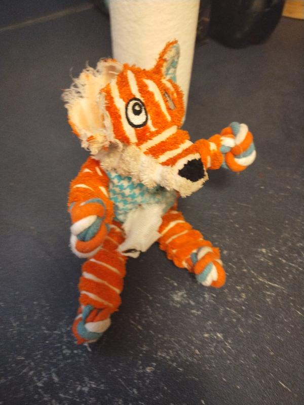 He didn't last long 🤣