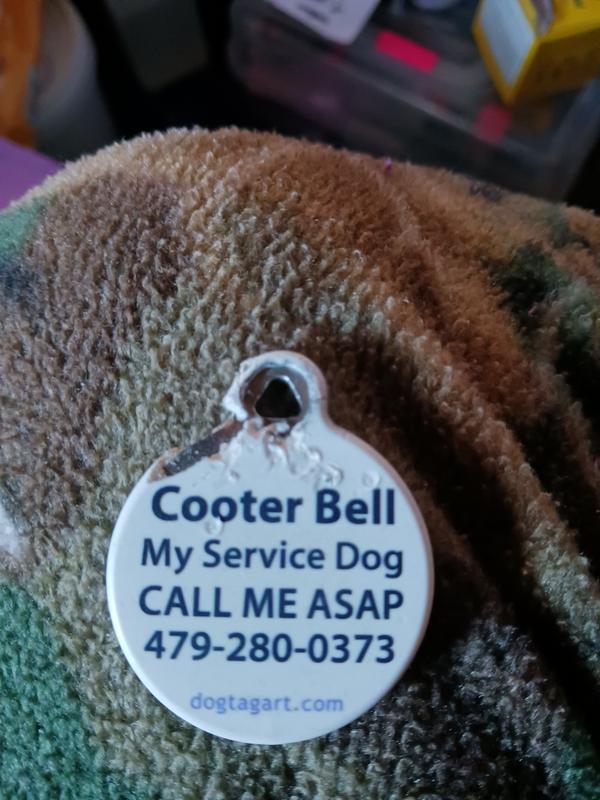 The paint is chipping off already