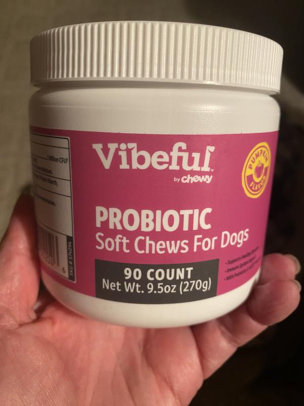 VIBEFUL Probiotic Bites Pumpkin Flavored Soft Chews Digestive ...