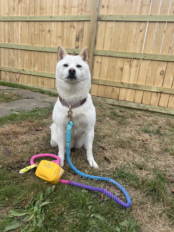 Eevee with her walking set!