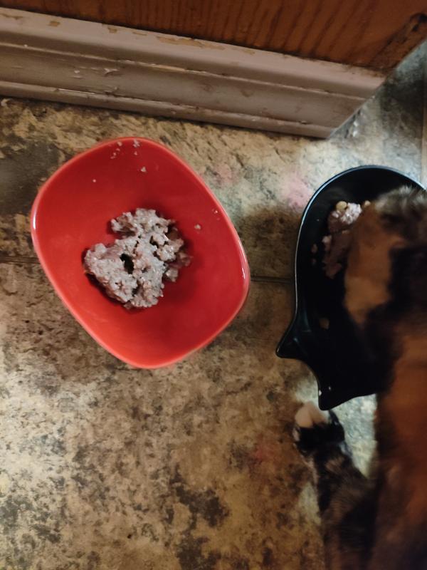 Not convinced - the unthinkable: there is still food left in the bowl