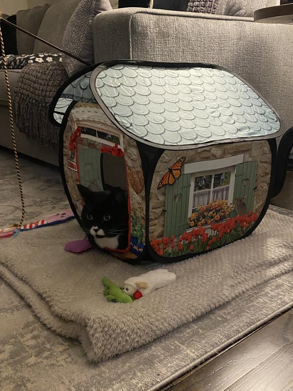 Kong Cat Toys Kong Play Spaces Bungalow U2013 Yo Pet Happy Camper