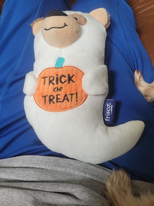 Cute little face on this guy