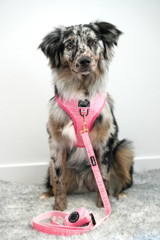 Sassy Dog Wear Dot Dog Harness