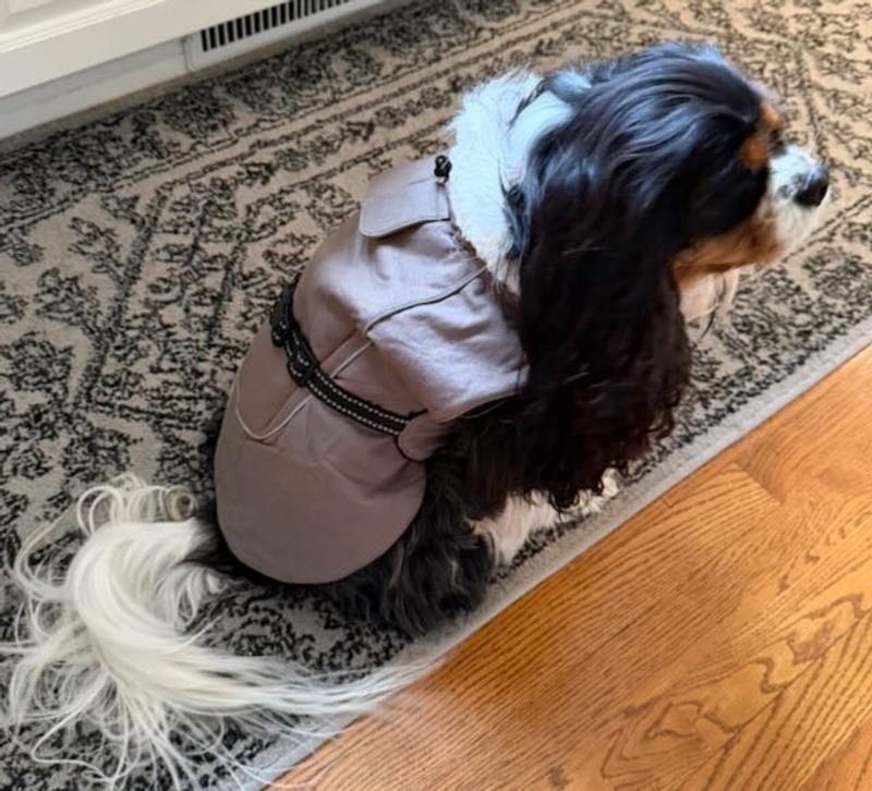 Benny likes his new, warm jacket