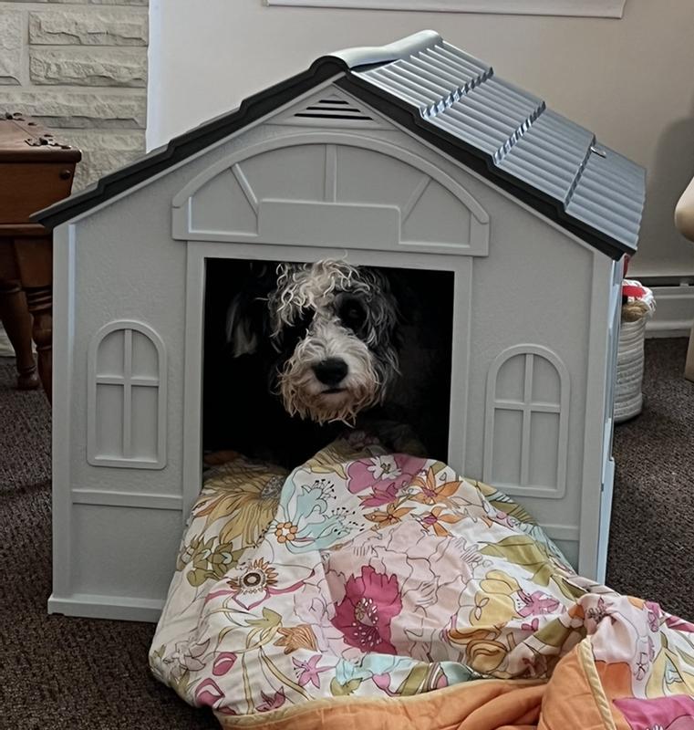 New doghouse