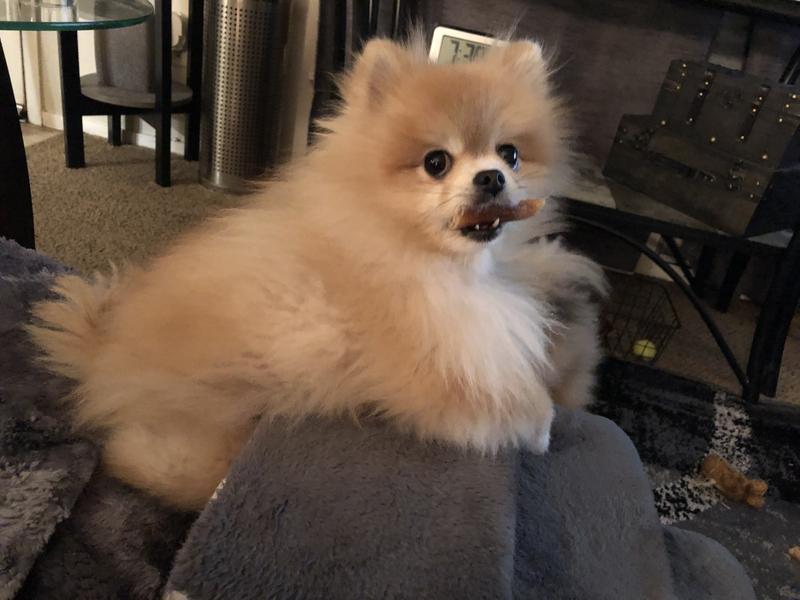 Poppy after using this for 6 months.