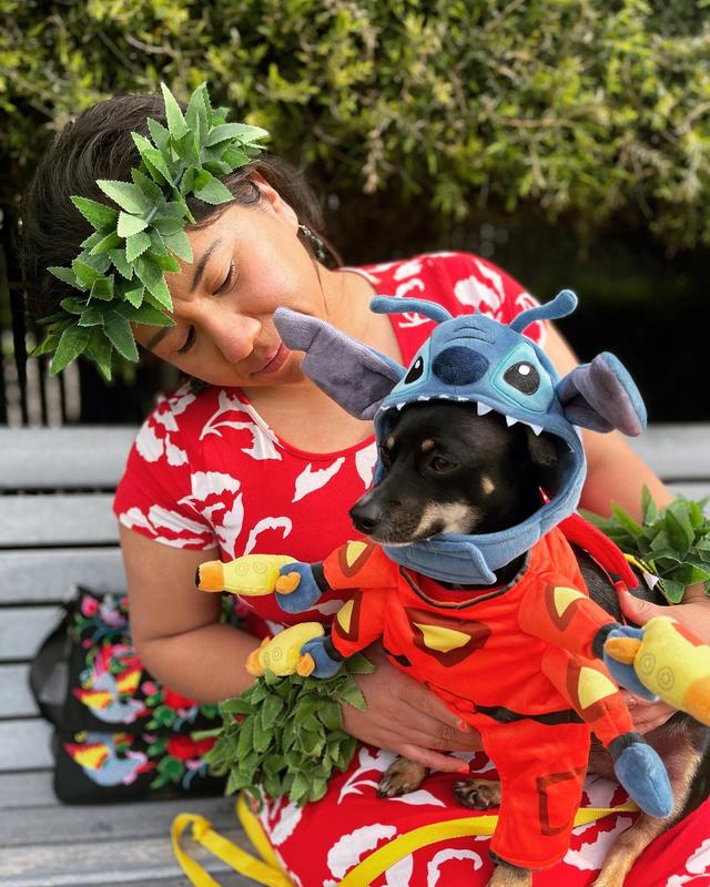 DISNEY Stitch Space Suit Dog & Cat Costume, Large 