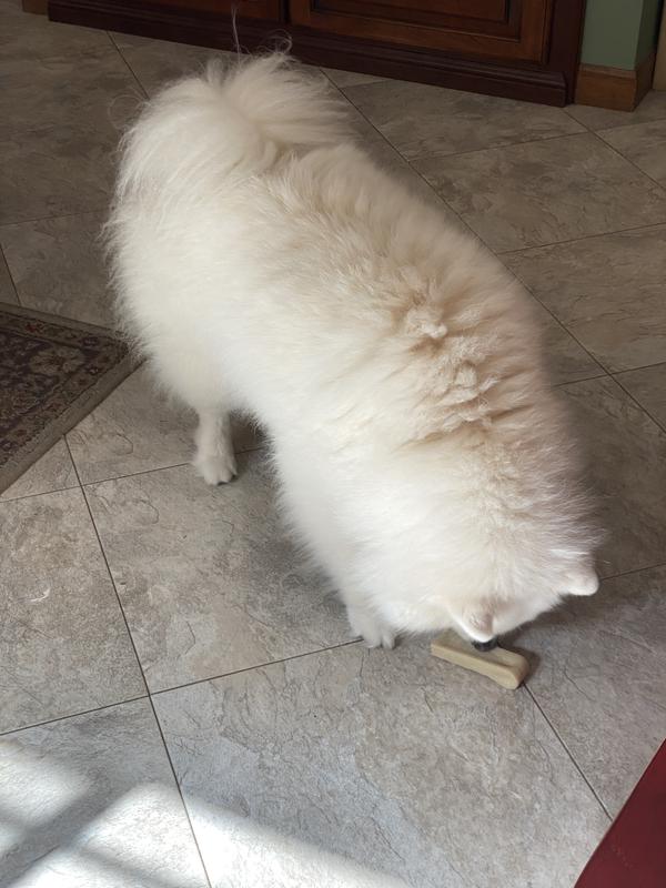 This was as far as we got